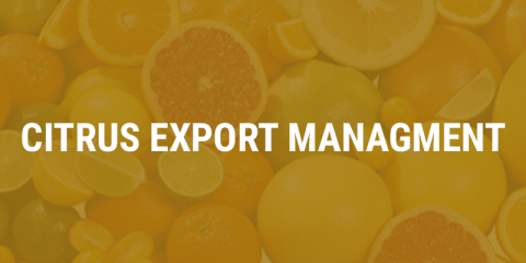 citrus-export-management