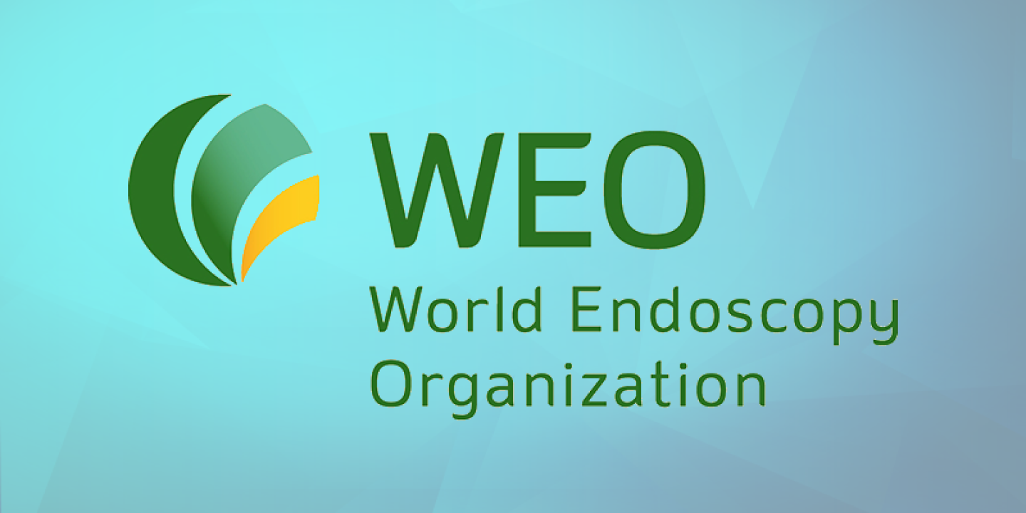 news-radventure-attended-weo